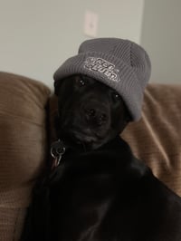 Image 7 of Kei Beanies