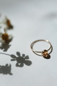 Image 3 of The Glory Ring