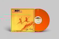 Image 4 of Not Gorgeous - We Are... LP