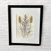 Image 4 of Pink Muhly Grass And Rose Fountain Grass Seed Heads Wildflower Art In 8" X 10" Frame (Item# 2022078)