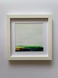 Yorkshire Rapeseed Fields study 4