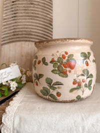 Image 2 of The Strawberry Collection - Pots ( 2 sizes )