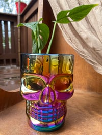 Image 1 of Monstera Adansonii in Chromatic Skull Mug