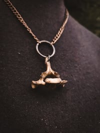 Image 3 of Vertebra Pendant 2