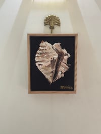 Image 2 of Conch Shell Treasure Original