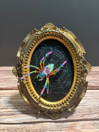 Image 1 of Iridescent Webbed Rainbow Widow in Gold