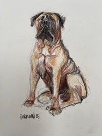 Image 1 of Scribble Dogs