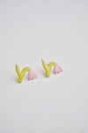 florecitas 