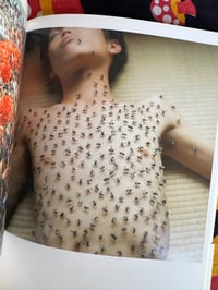 Image 2 of Utatane, Rinko Kawauchi, 2001