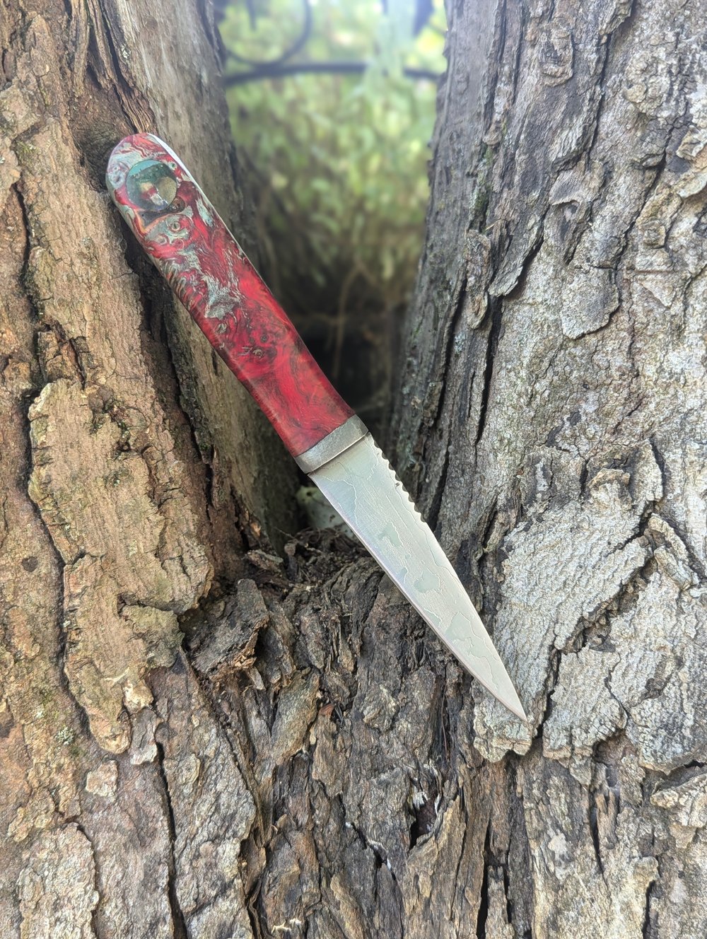 Hidden Fairy Hilt Damascus Sgian Dubh