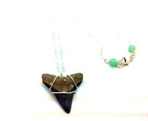 Image of Lucky Shark Tooth Necklace
