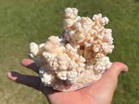 Image 5 of Calcite Crystal Cluster Reef Formation Specimen #1235