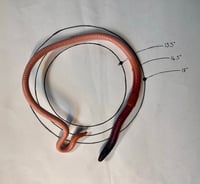 Image 3 of Standard Segmented Neck Cuff