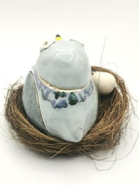Image 4 of Pigeon 1