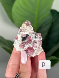 Image 4 of PINK TOURMALINE IN FELDSPAR CLUSTERS -PAKISTAN-