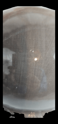 Image 10 of Cracker Barrel Owl Cookie Jar