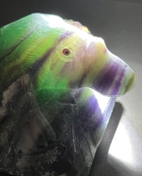 Image 16 of Platypus Fluorite Carving #2919