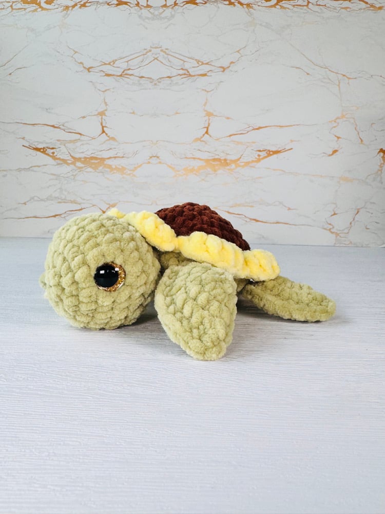Image of flower turtle preorder
