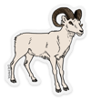 Vinyl Sticker // Alaska Wildlife - Dall Sheep