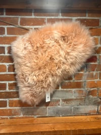 Image 2 of PINK TONGUE