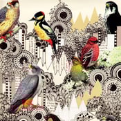 Image of Bird Collage Print