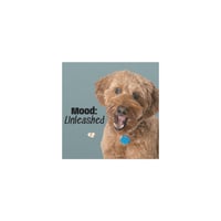 5x5 Mood Unleashed Magnet
