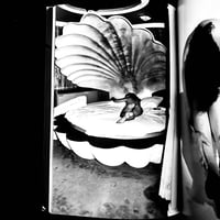 Image 15 of Nobuyoshi Araki "Bodyscapes"