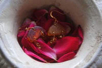 Amber Drops