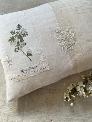 Image of Mayflower Lace Cushion 