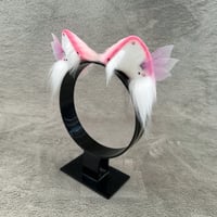 Image 2 of Pink Fairy Kitten