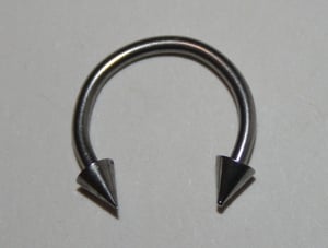 Image of Surgical Steel Horseshoe ring