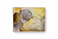 Image 2 of Sunshine and Shadows 