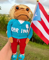 Image 2 of Sapo Concho PR