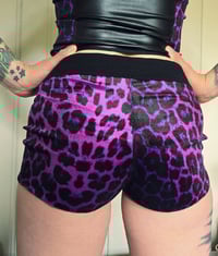Image 5 of Velvet leopard shorts - different colours