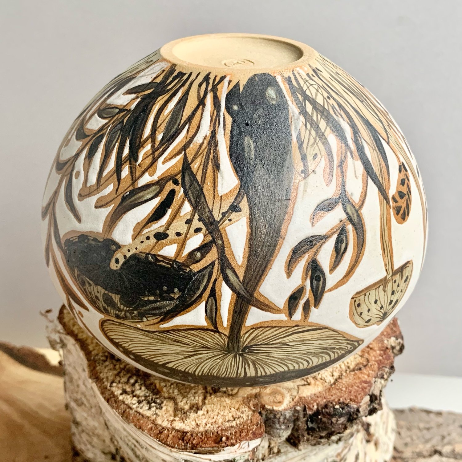 Image of Fungi Jar 