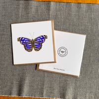 Image 4 of Greeting Card (various Designs) 6x6