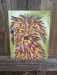 Image 5 of Scruffy Dog 