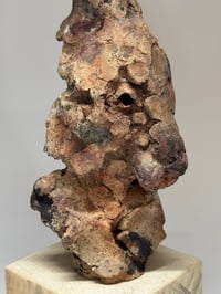 Image 1 of “William”