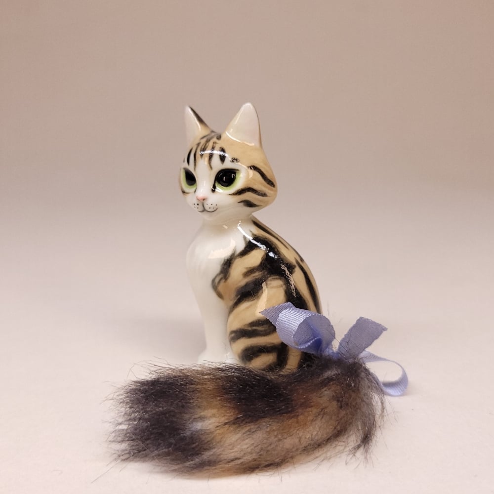 Image of Brown and White Tabby Trinkitty
