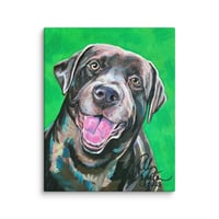 Image 1 of Chocolate Labrador