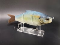 Image 2 of Goldfish Shad Swimmer 