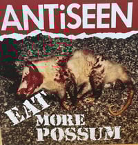 Image 1 of EAT MORE POSSUM 2026 Remastered LP