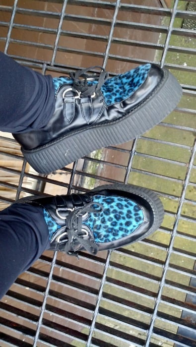 Blue leopard hot sale shoes