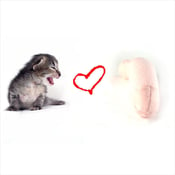 Image of Pussy Loves Prick