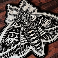 Image 3 of Eyed Sphinx Moth