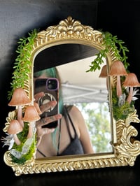 Image 3 of Small mushroom mirror LED
