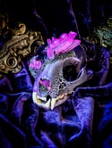 UV Luminescent, Pink Aura Quartz & Carborundum - Bobcat Skull.
