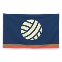 Darwin Minnesota City Vision Flag