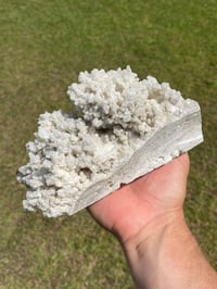 Image 14 of White Calcite Crystal Reef Formation Specimen #1238