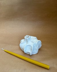 Image 1 of Tectonía